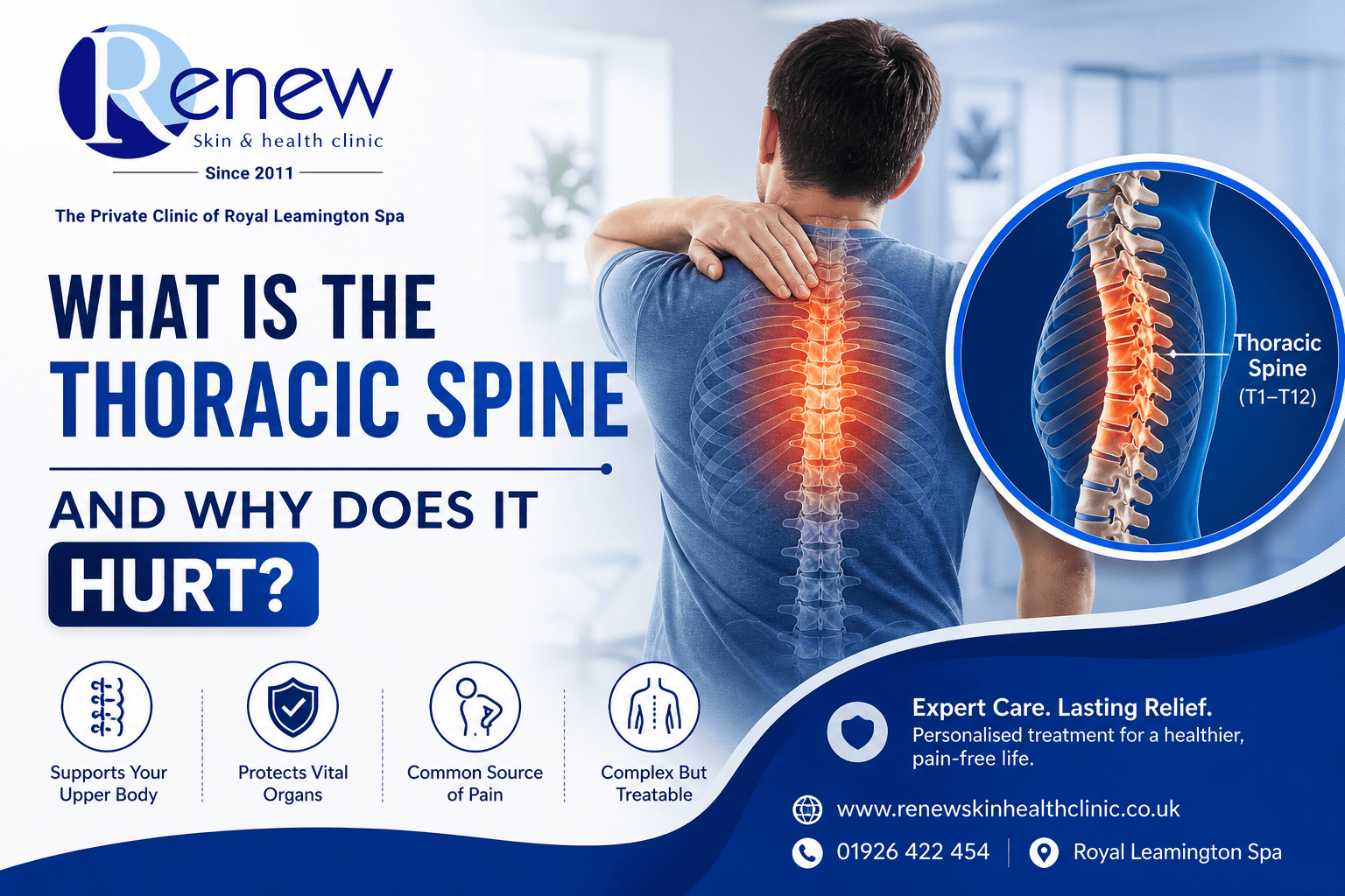 what is thoracic spine